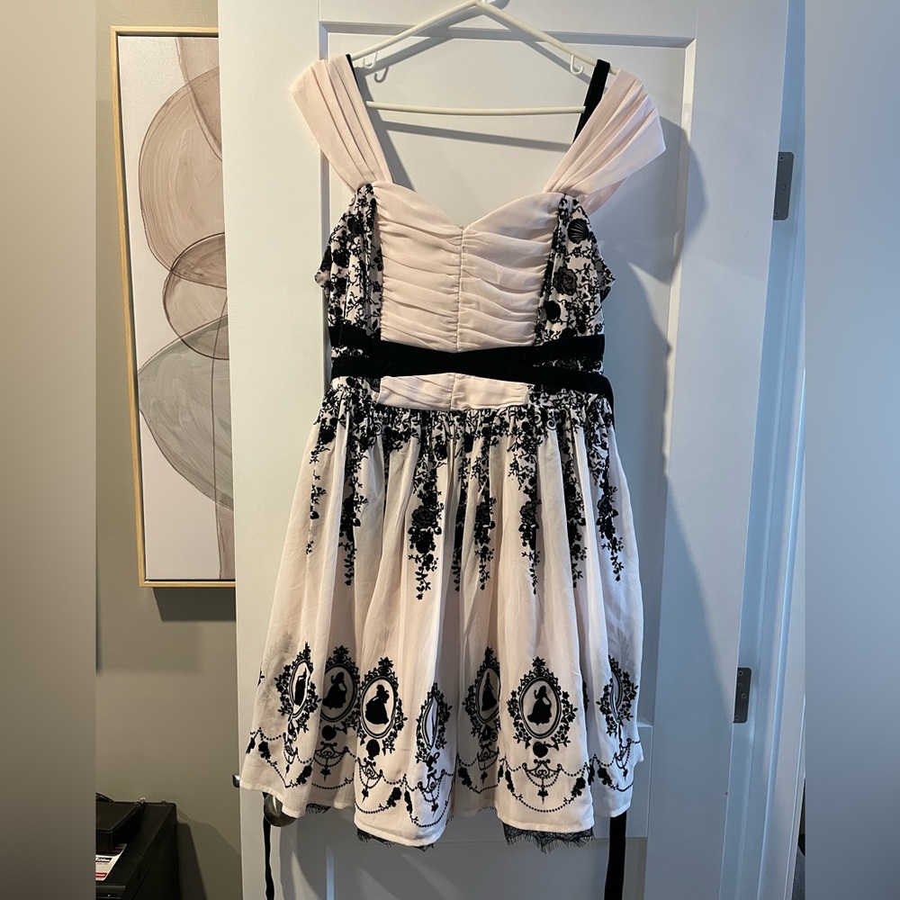 Women’s Disney Princess chiffon and velvet dress new large